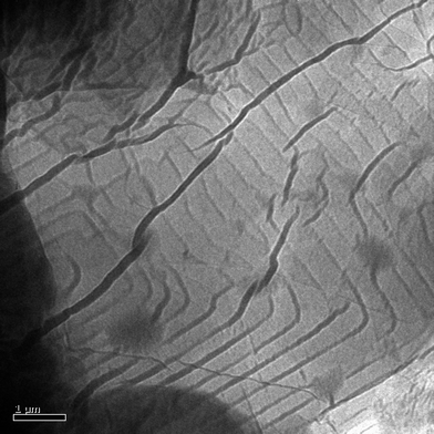 
            TEM image recorded with stacking nanosheet structures of (±)-12.