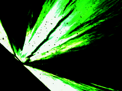 Optical photomicrographs (magnification 50×) showing the fan-shaped texture of the smectic A mesophase of compound (R,R)-4 (50% ee) at 60 °C on cooling.