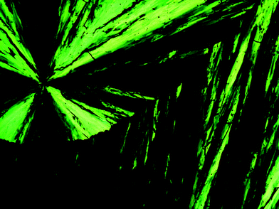 Optical photomicrographs (magnification 50×) showing the fan-shaped texture of the smectic A mesophase of compound (±)-4 at 80 °C on cooling.