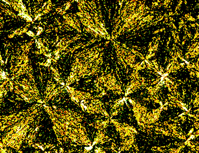 Optical photomicrographs (magnification 50×) showing the broken fan-shaped texture of the highly ordered smectic mesophase of compound (±)-12 at 70 °C on cooling.