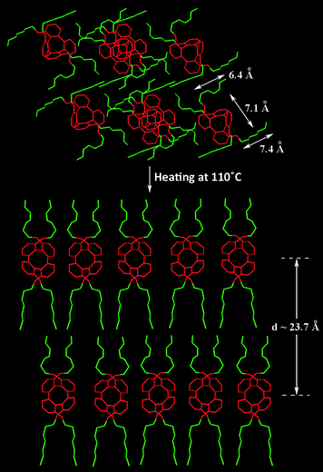 Illustration diagram for the transformation process of (±)-11 from its crystal structure to liquid crystalline mesophase.