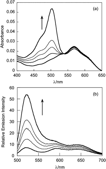 (a) Absorption spectra of G5-SNARF2-PF1-Ac (10 μg mL−1) in response to 100 μM H2O2 in PBS buffered to pH 7.4. Spectra were taken at 0, 10, 20, 30, and 60 min after H2O2 was added. (b) Fluorescence emission spectra of G5-SNARF2-PF1-Ac in panel (a) with λexc = 488 nm.