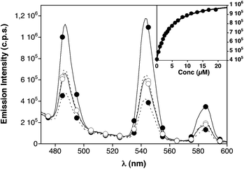 Dashed lines, emission spectra of monomeric peptides W9W9K44 (○), and W17W17K44 (●), 1 μM in HEPES buffer (10 mM HEPES pH 7.6, 100 mM NaCl). Solid lines, emission spectra of their complexes with E444 (19.2 μM). Peptide W9/W9/1717K4 is omitted for clarity (see Fig. S3, ESI). Inset with the mean emission at 545 nm of 1 μM peptide W17W17K44 in the presence of increasing amounts of the complementary E444peptide and the best fitting curve (each data point in the titration corresponds to an average of three experiments).11