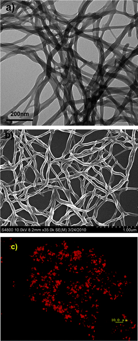 As synthesized functional nanowires: (a) TEM image, (b) SEM image, (c) fluorescence microscopy image; [NMM] = 2 × 10−6 M, [GMP] = 2 × 10−2 M.