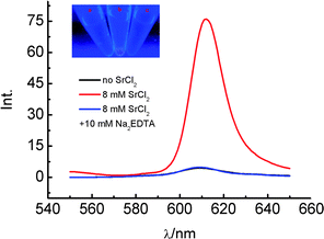 
            Fluorescence spectra of NMM mixed with 5′-GMP in deionized water (black) and in the presence of 8 mM SrCl2 (red), or 8 mM SrCl2 + 10 mM Na2EDTA (blue) at ambient temperature; [NMM] = 2 × 10−6 M, [GMP] = 2 × 10−2 M. Inset: Images of the mixtures under UV irradiation with no extra agent (a), 8 mM SrCl2 (b) or 8 mM SrCl2 + 10 mM Na2EDTA (c) at ambient temperature.