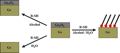 The importance of solubility on direct SAM deposition on Ge(100). Germanium oxide is soluble in water, while the alkanethiols are soluble in alcohols. A water/alcohol mixture can dissolve both the germanium oxide and enough alkanethiol to form SAMs. The unmixed solvents (and exposure in a stepwise fashion) do not produce SAMs.