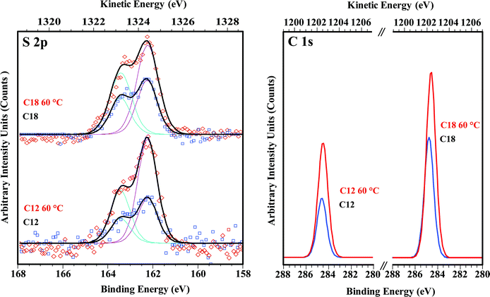 High-resolution S 2p (left) and C 1s (right) XPS spectra, comparing C12 and C18 SAMs on Ge(100) formed at room-temperature and at 60 °C. Sulfur and carbon intensity increases by approximately a factor of two when a SAM is deposited at 60 °C, indicating 50% coverage for room temperature depositions, and full coverage for depositions at 60 °C.