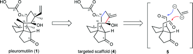 Derivation of a simplified, pleuromutilin-like scaffold 4 and the concept of a linchpin cyclization strategy.