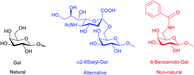 
          RCA120 ligands explored and developed in this study.