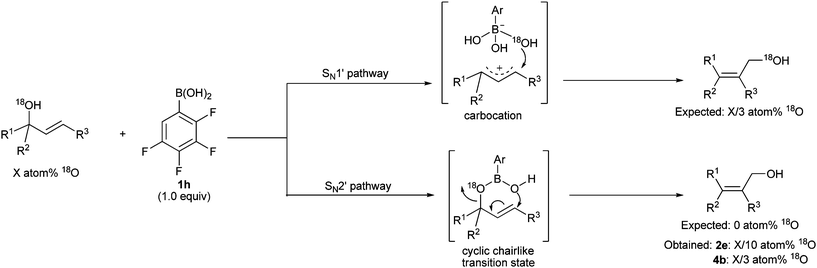 Mechanistic investigation of the 1,3-transposition of allylic and propargylic alcohols using 18O labeling experiments.