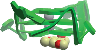 Hypothetical molecular model of virtual screening hit fonsecin B with the c-mycG-quadruplex.86