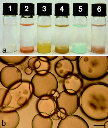 (a) Photograph of sample tubes showing phase separation into a colourless dodecane upper layer and turbid water-in-oil emulsion lower layer comprising silica nanoparticle-stabilized micro-droplets of (1) pure water, or aqueous solutions of (2) cytochrome c, (3) ferritin, (4) myoglobin, (5) Cu(NO3)2 and (6) Au nanoparticles. (b) Optical microscopy image of silica nanoparticle-stabilized water droplets in dodecane produced at φw = 0.033 and a loading of 0.3 mg nanoparticles per μL of aqueous phase. Scale bar = 100 μm.