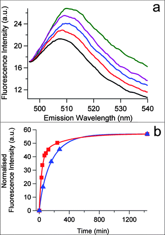 (a) Time dependent fluorescence spectra of silica nanoparticle-stabilized water droplets (toluene, φw = 0.033, 0.3 mg μL−1) containing the plasmid pEXP5-NT/eGFP and a cell-free gene expression solution recorded at 37 °C after 0 (black), 10 (red), 60 (blue), 210 (purple) and 1440 (green) min. (b) Plots showing time dependent change in fluorescence intensity at 509 nm corresponding to rate of expression of eGFP in silica nanoparticle-stabilized water droplets (red) or in a bulk water phase (blue). Arbitrary units (a.u) in the red curve were re-calibrated by normalization of the completed reaction values obtained at 1440 min for both red and blue plots in order to facilitate comparison of the rates.