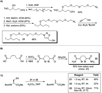 Synthesis of water-soluble 1,4-dihalobutane derivatives and their use in the conversion of cysteine to dehydroalanine.