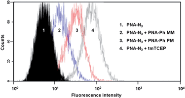 MiR-21 detection by flow cytometry in BT474 cell line. MiR-21 expression levels were determined in BT474 cells by flow cytometry. The experiments were carried out according to the same procedure as described in Fig. 4. PBS alone upon PNA-Azide treatment was used as a negative control (1). A cell permeable phosphine (tmTCEP) was used as a positive control to define the maximum fluorescence (4). Cells treated with the perfect match phosphine (PNA-phosphine-PM) show increased fluorescence intensity (3) compared to cells treated with the mismatched probe (PNA-phosphine-MM, 2). Shown is one representative experiment out of three biological replicates.