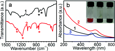 (a) IR spectra of (1) Au@PTh NPs and (2) Au@vesicle NPs. Asterisks indicate peaks of interest. (b) UV-Vis spectra of 1, 2, and (3) citrate-stabilized AuNPs (inset: the photographs of reaction mixtures before heating (left), and after the formation of Au@PTh NPs (middle) and Au@vesicle NPs (right)).