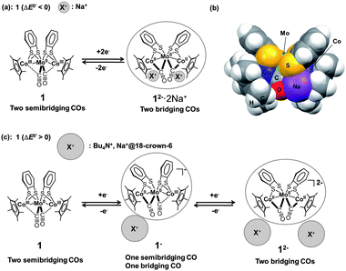 (a) Schematic diagram of the CO group coordination mode transition between 1 and 12−2− upon one-step 2e−redox reaction. (b) Optimized structure of 12−2−·2Na+ (triplet state) (C2 symmetry) in the CPK model. (c) Schematic diagram of the CO group coordination mode transitions between 1, 1−−, and 12−2− upon two-step 1e−redox reactions.