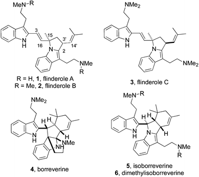 Flinderoles A–C (1–3) are structurally distinct from the related bisindole alkaloids borreverine (4) and the isoborreverines (5–6).