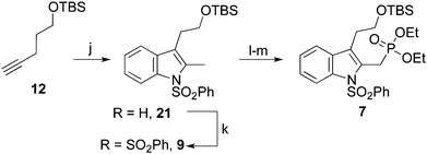 (j) phenylhydrazine, 12, ZnCl2, THF, 105 °C, 18 h; 76%. (k) PhSO2Cl (3.0 equiv), KOH (5.0 equiv), THF, 0 °C to rt, 18 h; 68%. (l) NBS, AIBN, CCl4, 75 °C, 18 h. (m) P(OEt)3 55 °C, 48 h; 77%.