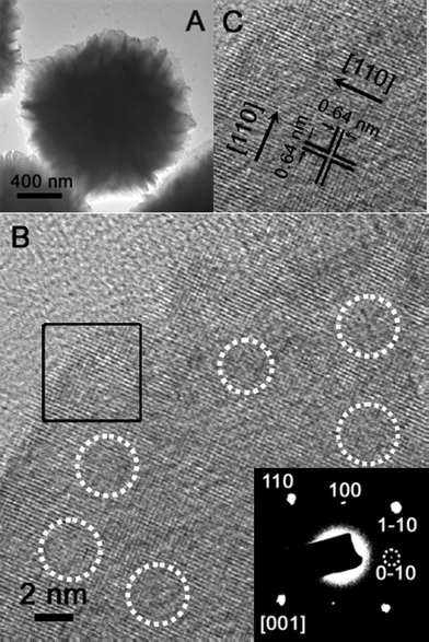 (A) A transmission electron microscopy (TEM) image of the as-prepared TiO2–MoO3 composite. (B) A TEM image of a single nanosheet with visible lattice fringes. The inset shows the selected-area electron diffraction (SAED) pattern of the nanosheet. (C)A high-resolution (HR) TEM image of the region marked by the black square in (B).