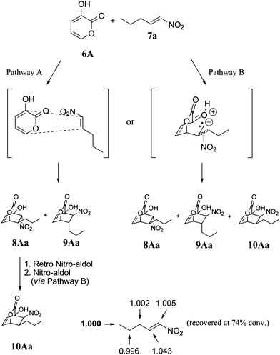 
          Carbon isotope effects (R/R0) calculated for nitroalkene 7a. The methyl carbon (value in bold) was taken as the internal standard.