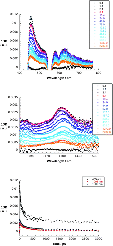 Upper part—differential absorption spectra (visible) obtained upon femtosecond flash photolysis (550 nm) of ZnP–C60–C70 in THF with several time delays between 0 and 3000 ps at room temperature —see figure legend for time delays. Central part—differential absorption spectra (extended near-infrared) obtained upon femtosecond flash photolysis (550 nm) of ZnP–C60–C70 in THF with several time delays between 0 and 3000 ps at room temperature—see figure legend for time delays. Lower part—time-absorption profiles of the spectra shown in the upper and central parts at 455, 1005, and 1300 nm monitoring the charge separation and charge shift.