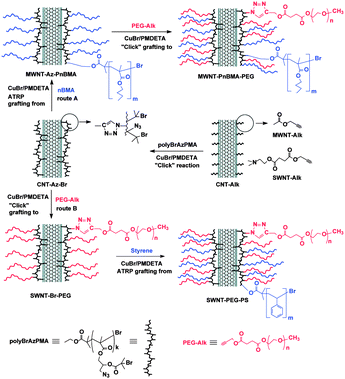 Fabrication of carbon nanotube composites by a combination of “click chemistry” and ATRP. Carbon nanotubes were first modified with acetylene groups and then a polymethacrylate containing both azide and 2-bromoisobutyryl moieties was attached via CuAAC (center of the Figure). The nanotube composites were used as initiators for subsequent grafting to (click chemistry) and grafting from (ATRP) reactions. Reproduced from ref. 43 with permission.