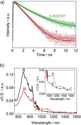 a) The time-resolved fluorescence spectra of 1 and 1-SWCNT (around 710 nm) and their fitting curves (solid lines) in CHCl3, λex = 400 nm, the y-axis is a logarithmic scale; b) the nanosecond transient absorption spectra of 1 (curve i) and 1-SWCNT (curve ii) in THF at 4 μs using 355 nm laser irradiation. Inset: enlarged absorption curve (900–1600 nm).