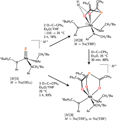 Synthesis of complex salts [M][2], and [M][3].