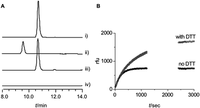 A: HPLC analysis of PhhA assay (ex 270 nm, em 305 nm). i) 0.1 mM mTyr standard, ii) 0.1 mM l-Tyr standard, iii) PhhA assay, for details see text, iv) as iii) with omission of DMPH4. Reactions were incubated at 28 °C for 3 h. B: Influence of DTT on composite reaction rate.