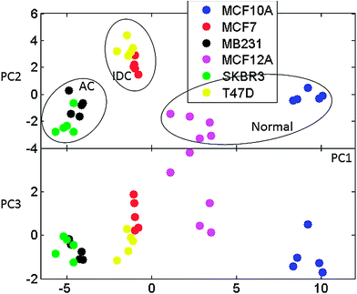 Principal components PC1 vs. PC2 and PC1 vs. PC3 for PCA analysis of SAM determined major features differentiating between AC and IDC cell lines. The separation of normal, IDC and AC cell types is indicated.