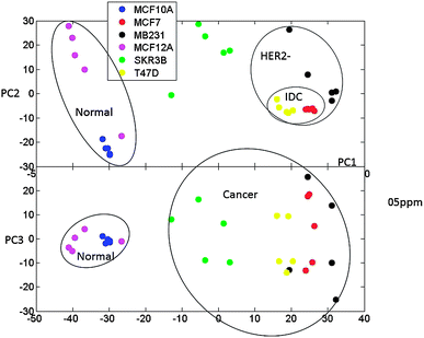 Principal components PC1 vs. PC2 and PC1 vs. PC3 for PCA analysis of spectral data for six cell line types. Metabolites were independently extracted and measured for five biological replicates corresponding to six cell line types. The grouping of normal and cancer as well as IDC− and HER− cell types is outlined. For the presented analysis, spectra were binned to 0.005 ppm sized segments.