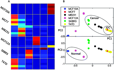 FCM clustering of binned spectral data. Presented are: A. The membership values for each measurement where red represents the membership value of 1 and dark blue corresponds to a membership of 0. Higher membership values indicate stronger belonging to a cluster. B. Principal components analysis of membership values. PCA analysis is performed for visualization of FCM results and shows major groups of samples based on the membership values obtained by FCM. Cancer, normal and IDC groups are indicated on the PCA plot.