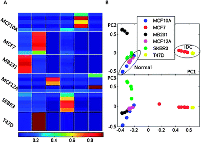 FCM clustering of GSD data. Presented are: A. The membership values for each measurement where red is a membership value of 1 and dark blue shows a membership of 0. Higher membership values indicate stronger belonging to a cluster. B. Principal components derived from a PCA analysis of membership values. PCA analysis is performed for visualization of FCM results and shows major groups of samples based on the membership values obtained by FCM. Normal and IDC groups are indicated on the PCA plot.