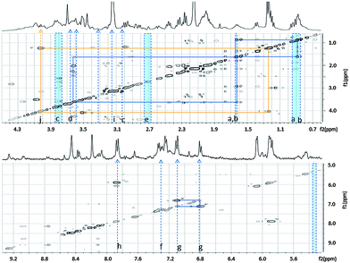 Major differential features between IDC and AC cell types obtained using SAM. Indicated are features with significantly higher intensity in IDC lines (blue) and in AC cell lines (orange). The major features are represented on a TOCSY experiment background. Metabolite assignments are listed in Table 2B.