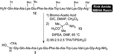 Synthesis of GLP-1 (22–36) hydroxylamine.