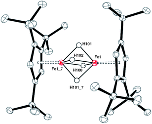 ORTEP diagram of 2. ‘_7’ indicate symmetry related positions. Selected bond distances (Å) and angles (deg): Cp1(cent)-Fe(1) 1.66, Fe(1)⋯Fe(1_7) 2.1989(5), Fe(1)-H(100) 1.61(3), Fe(1)-H(101) 1.57(3), Fe(1)-H(102) 1.63(3), H(100)-H(101) 1.65(4), H(101)-H(102) 1.62(4), H(102)-H(101_7) 1.62(4), H(101_7)-H(100) 1.65(4), H(100)-H(101)-H(102) 93.3, H(101)-H(102)-H(101_7) 87.9, H(102)-H(101_7)-H(100) 93.3.