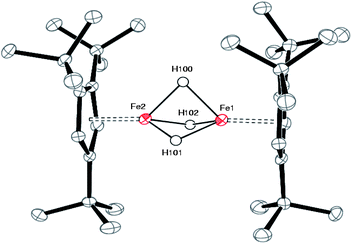 ORTEP diagram of 3. Selected bond distances (Å) and angles (deg): Cp1(cent)-Fe(1) 1.71, Cp2(cent)-Fe(1) 1.71, Fe(1)⋯Fe(2) 2.2205(6), Fe(1)-H(100) 1.64(4), Fe(1)-H(101) 1.54(4), Fe(1)-H(102) 1.56(4), Fe(2)-H(100) 1.66(4), Fe(2)-H(101) 1.57(4), Fe(2)-H(102) 1.49(4), H(100)-H(101) 1.87(6), H(101)-H(102) 1.94(6), H(102)-H(100) 1.96(6), H(100)-H(101)-H(102) 61.8, H(101)-H(102)-H(100) 57.4, H(102)-H(100)-H(101) 60.8.