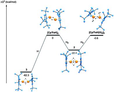 Gibbs Free Enthalpy of Iron Hydride Species.