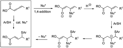 A possible pathway for the nucleophile-catalyzed enantioselective γ addition of an aryl thiol to an allenoate (for simplicity, the elementary steps are drawn as irreversible and one E/Z isomer of the intermediates is illustrated).