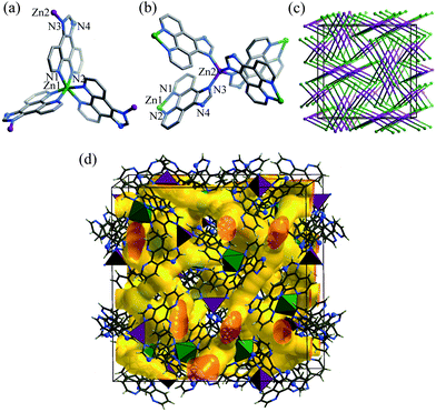 (a) Coordination environment of the distorted octahedral (Zn1–N1 2.172(5), Zn1–N2 2.133(5) Å; N1–Zn1–N2 77.0(2), N1–Zn–N1* 89.8(2), N2–Zn1–N2* 97.2(2)°) and (b) tetrahedral (Zn2–N3 1.98(5); N3–Zn–N3* 107.3(2) and 113.9(2)°) zinc atoms, (c) simplified framework topology (Zn1: green sphere, Zn2: purple sphere, ip−: stick), and (d) channel structure of 1·g.