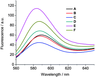 A fusion assay using rhodamine B fluorescence measurements. A) Unlabeled vesicles of 1b (24 μM) + 4.6% labeled vesicles of 1b (6 μM). B) Unlabeled vesicles of 1b (24 μM) + 4.6% labeled vesicles of 1b (6 μM) + 6 μM guest 2. C) Unlabeled vesicles of 1b (24 μM) + 4.6% labeled vesicles of 1b (6 μM) + 6 μM guest 2 + 6 μM Cu2+. D) Unlabeled vesicles of 1b (24 μM) + 4.6% labeled vesicles of 1b (6 μM) + 6 μM guest 2 + 6 μM Cu2+ + 200 μM EDTA. E) Unlabeled vesicles of 1b (24 μM) + 4.6% labeled vesicles of 1b (6 μM) + 6 μM guest 2 + 6 μM Cu2+ + 200 μM EDTA + 20 mM Triton-X 100. F) 1.0% labeled vesicles of 1b.
