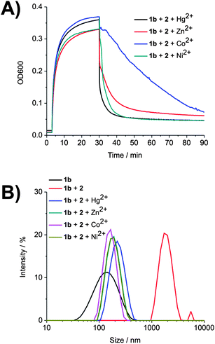 The effect of divalent metal ions on the aggregation of vesicles of 1b in the presence of 2. A) Time-dependent measurement of OD600. B) The size distribution of vesicles of 1b according to DLS. Conditions: [1b] = 30 μM, [2] = 6 μM and [M2+] = 14 μM in 10 mM carbonate–bicarbonate buffer (pH 9.0). Guest 2 was added at 3 min and M2+ was added at 30 min.