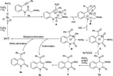 Possible mechanism.