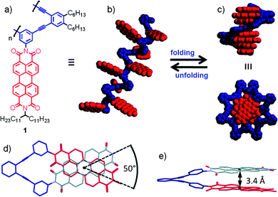 Folding of PBI oligomer 1 into helical H-type aggregates. (a) Chemical structure of oligomer 1, (b) geometry optimized structure of an unfolded state of 1, (c) side view (top) and top view (bottom) of a geometry optimized structure of the folded state, (d) and (e) top and side view of a dimeric subunit of the folded oligomer, respectively. Hydrogens and alkyl chains are omitted for clarity.