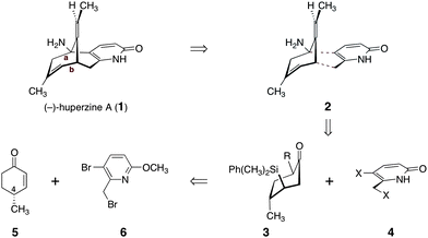 Retrosynthetic analysis of (−)-huperzine A (1).