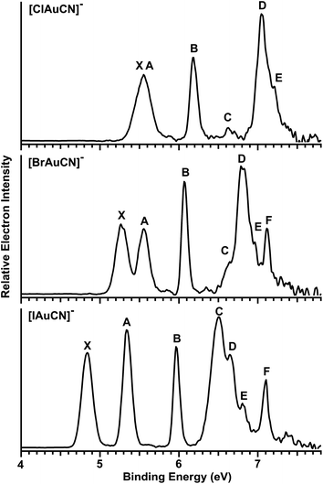 
          Photoelectron spectra of [XAuCN]− (X = Cl, Br and I) at 157 nm (7.866 eV).