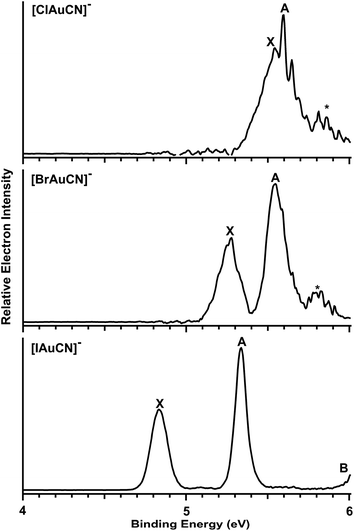 
          Photoelectron spectra of [XAuCN]− (X = Cl, Br and I) at 206.19 nm (6.013 eV).