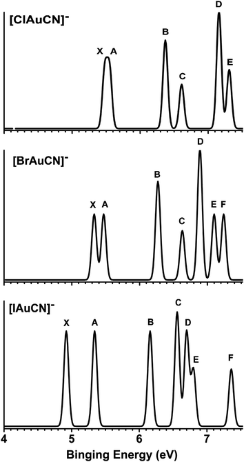 Simulated PES spectra using the theoretical VDEs calculated with the CASSCF/CCSD(T)/SO approach.