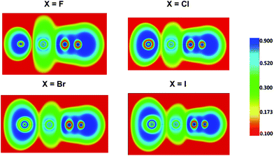 The electron localization functions for [XAuCN]−.